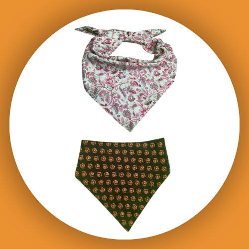 Dog Accessories">
