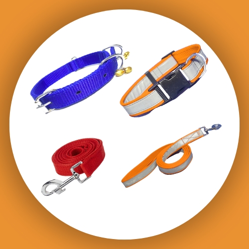 Dog Collar & Leash">