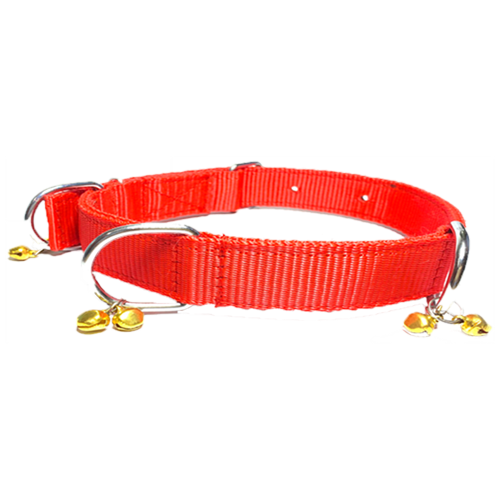 dogs neck band by alcazar pet store
