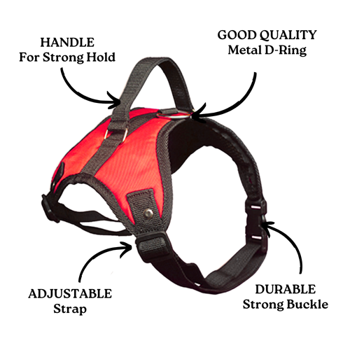 dog body belt harness red
