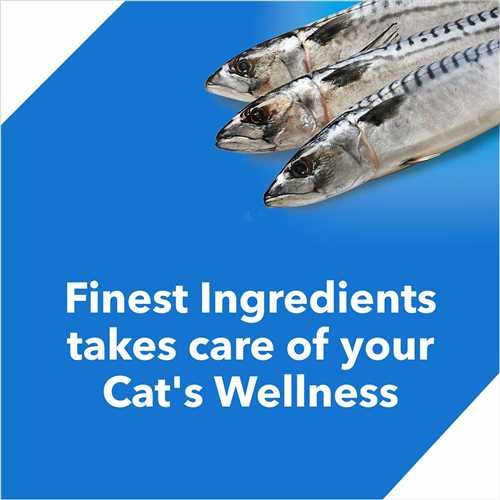 Drools Adult Ocean Fish Dry Cat Food