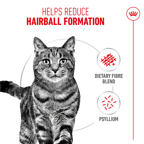 Royal Canin Hairball Care Dry Cat Food