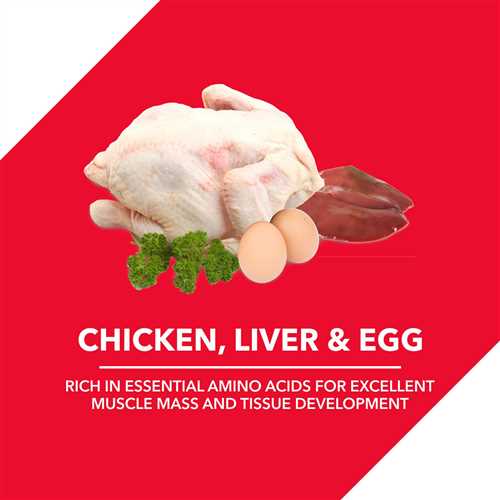 Drools Chicken and Egg Puppy Dog Dry Food