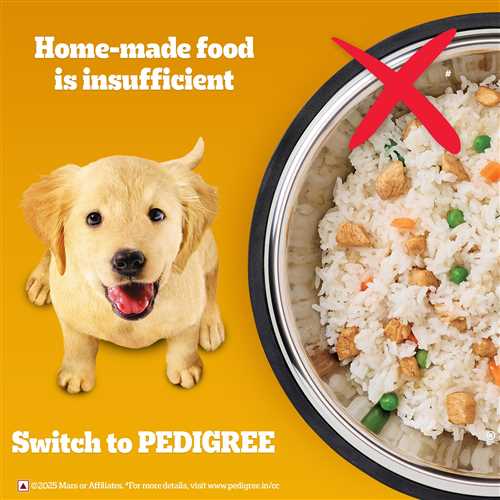 Pedigree Chicken and Milk Puppy Dry Dog Food