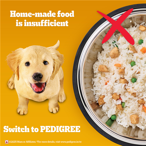 Pedigree Meat and Milk Puppy Dry Dog Food