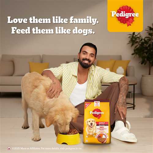 Pedigree Meat and Rice Adult Dry Dog Food