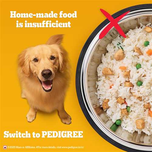 Pedigree Meat and Rice Adult Dry Dog Food