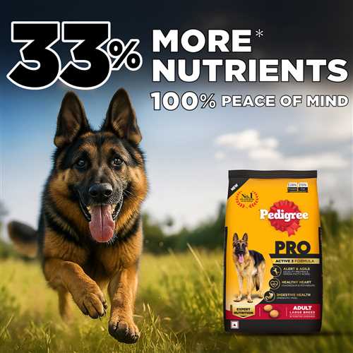 Pedigree PRO Expert Nutrition Active Adult Large Breed Dry Dog Food