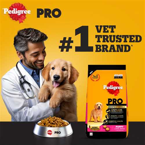 Pedigree PRO Expert Nutrition Puppy Large Breed Dry Dog Food
