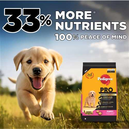 Pedigree PRO Expert Nutrition Puppy Large Breed Dry Dog Food