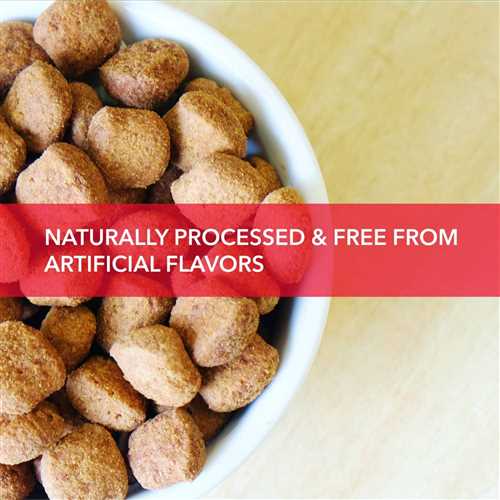 Purepet Meat and Rice Adult Dry Dog Food