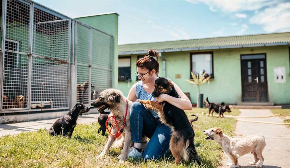 Best Pet Adoption Centres in Bangalore
