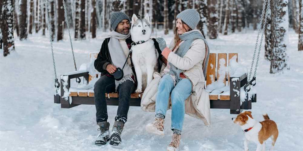 10 Best Dog Gift Ideas for Winter Season 2025