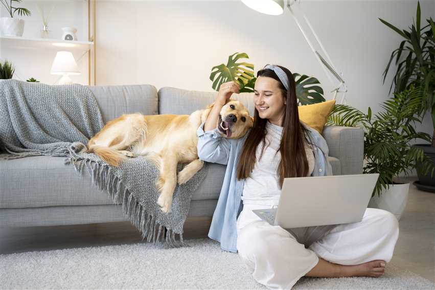 How to Teach Your Dog Basic Commands: Sit, Stay, Come, and More