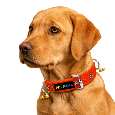 ALCAZAR Personalized Dog Collar (Print Your Pet Name On Collar), Nylon, Collar Adjustable Neck With Bell (Ghungroo) (S, RED)