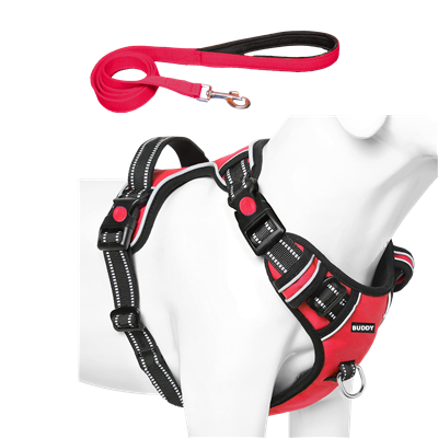 ALCAZAR Dog Chest Belt with Leash , No Pull Adjustable Harness, Easy Control and Handle for Training | For 05-13 Kilograms Dogs (S, Red)
