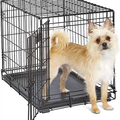 Alcazar Dog Cottage Cage with Removable Tray Crate Double Door (Small 18 inch, Black)