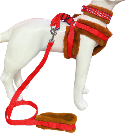 Dog Harness">